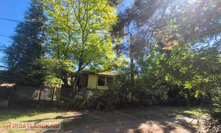 Oroszlányon eladó zártkert dupla telekkel