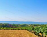Életérzés, ahol a Balaton látványa nyűgöz Le