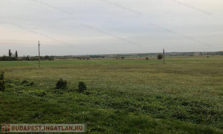 Eladó 5441 m2-es külterület Csákváron                                 