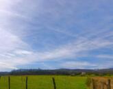 Prémium befektetés-termő terület ELADÓ