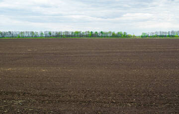 Eladó telek/földterület