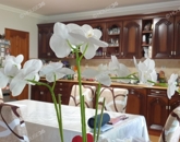 Eladó családi ház Ballószög 199 000 000 Ft