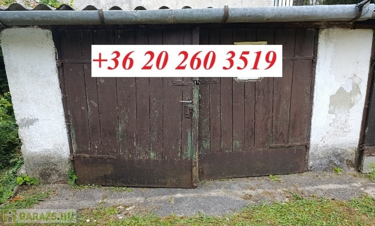 355144                                 