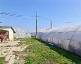 Eladó Tiszaföldváron egy 3718 m2-es telek hűtőházzal.