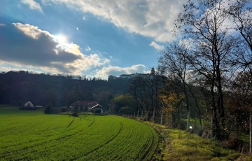 Eladó telek/földterület