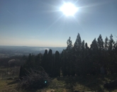 Eladó családi ház Győrújbarát 84 500 000 Ft