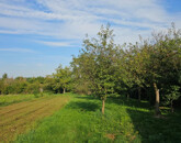 Eladó telek/földterület Kisasszond 4 000 000 Ft