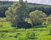 Eladó telek/földterület Isaszeg 75 000 000 Ft