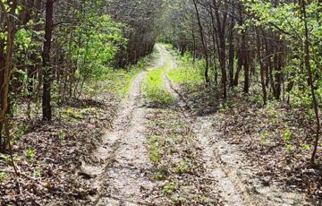 Eladó telek/földterület