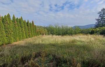 Eladó telek/földterület