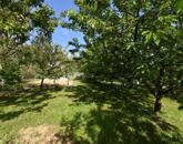 Eladó telek/földterület Sárhida 4 000 000 Ft