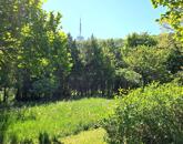 Eladó családi ház Miskolc 79 000 000 Ft