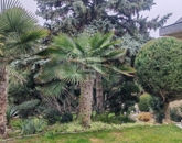 Eladó családi ház Érd 219 000 000 Ft