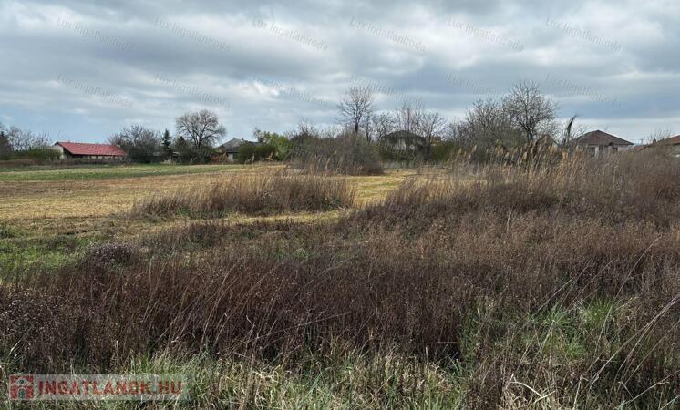 Eladó építési telek- Tata, Levendulakert!