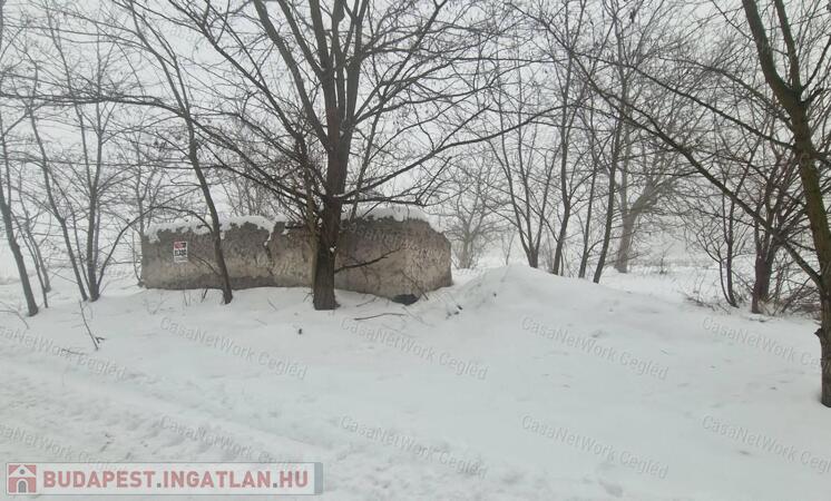 Eladó szántó Cegléden, az Ugyeri dűlőben                                 