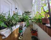 Parasztház Tiszanánán, idilli, faluszéli környezetben!