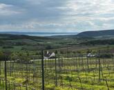 Óbudaváron ÖRÖK PANORÁMÁS zártkert eladó! 5107nm!