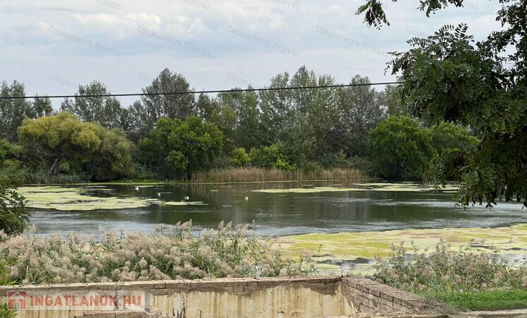 Mezőtúr belvárosához közel, a Berettyó partján építési telek eladó