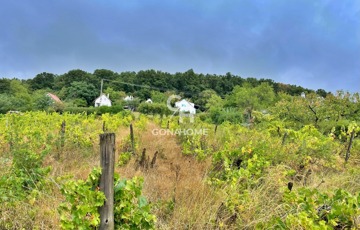 Eladó telek/földterület