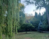 Eladó lakás Kecskemét 54 800 000 Ft