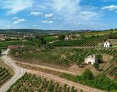 Örök panorámás beépíthető szőlő terület