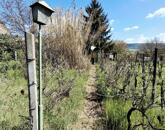 Eladó üdülő/nyaraló Tatabánya 5 900 000 Ft