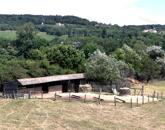 6,2 hektáros (rét) általános mg.-i terület épületekkel, építési engedéllyel