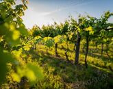 Eladó ipari ingatlan Kerékteleki 750 000 Ft