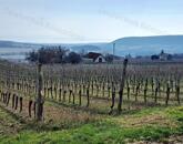 PANORÁMÁS SZŐLŐ A NIVEGY-VÖLGY SZÍVÉBEN - SZENTJAKABFÁN