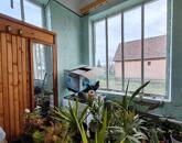 Boconád központjában, békés környezetben családi ház eladó