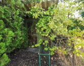 Eladó telek/földterület Sárszentmihály 5 490 000 Ft