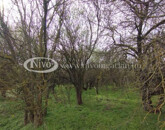 Eladó telek/földterület Veszprém 133 000 000 Ft