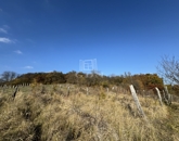 Eladó telek/földterület Csákvár 9 250 000 Ft