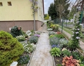 Eladó családi ház Budapest II. ker 149 900 000 Ft