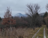 Eladó telek/földterület Karancsalja 5 000 000 Ft