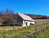 Kiváló környezetben -eladó GAZDASÁGI ÉPÜLET BALATONCSICSÓN