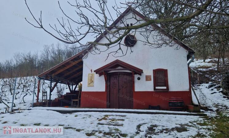 Tokodon eladó pince/présház!