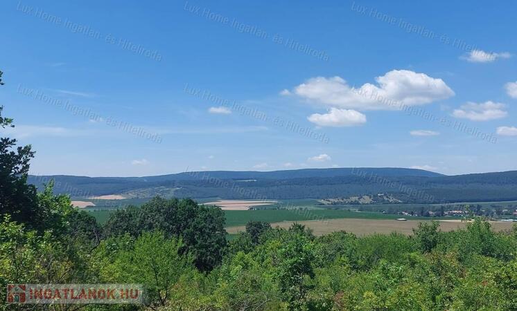 Eladó héregi zártkerti telek természetbarátoknak és nyugalomra vágyóknak