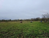 Eladó telek/földterület Görcsöny 21 900 000 Ft