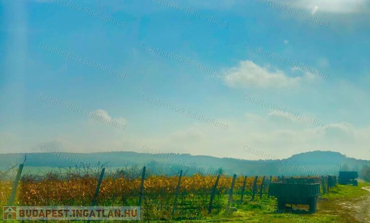 Balatoni panorámás -Szőlős kert                                 