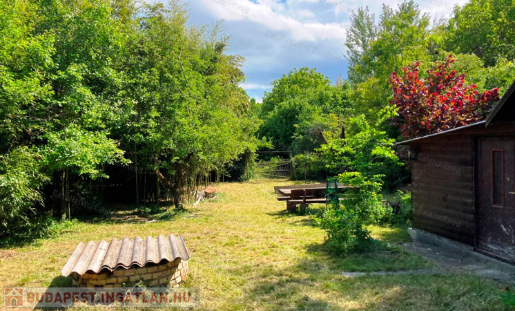 Vadregényes, utca végi madárcsicsergős faház                                 