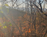 Eladó telek/földterület Gyulakeszi 18 000 000 Ft