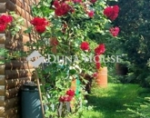 Eladó családi ház Birján 84 900 000 Ft