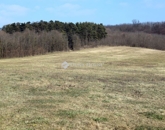 Eladó telek/földterület Alsónemesapáti 55 000 000 Ft