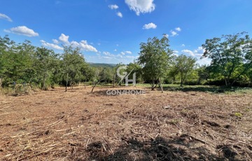 Eladó telek/földterület