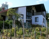 Eladó családi ház Pécs 238 000 000 Ft