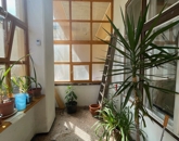 Eladó lakás Nyíregyháza 44 900 000 Ft