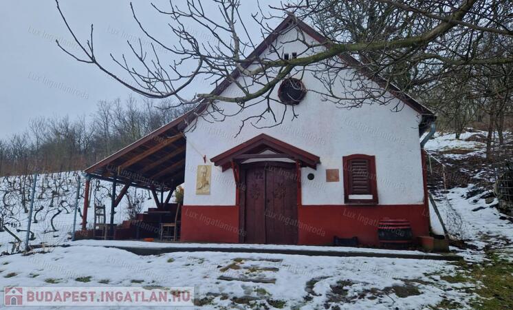 Tokodon eladó pince/présház!                                 