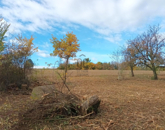 Eladó üdülő/nyaraló Kisgörbő 4 800 000 Ft