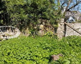 Eladó családi ház Veszprém 45 000 000 Ft